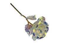 Crwp Iridescent Galaxy Rose - Everlasting Beauty, Unforgettable Gift card.