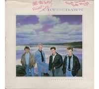 Cry Before Dawn - crimes of conscience LP