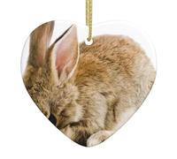 cry rabbit Printed Christmas Tree Ceramic Hanging Ornament â€“ Xmas Tree Decoration, Holiday Heart Crafts