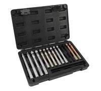 Cryfokt 14 PCS Wheel Alignment Pin, Wheel Hanger Rim StudPilot PinGuide Studs with Sturdy Storage Case, Carbon Steel Wheel Alignment Balancing Tools, Easy Wheel Installation