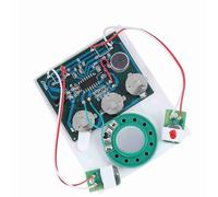 Cryfokt 27S Recordable Voice Module Sound Chip for DIY Gifts and Greeting Cards with Button Battery, Photosensitive Control for Lovers and Families (Extension cord version)