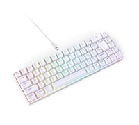 Cryfokt 68 Key Wired Gaming Russian Keyboard, Dual Language Type C Mechanical Keyboard with 18 RGB Backlight Modes, Gaming Mechanical for PC Laptop (White)