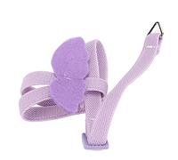 Cryfokt Bird Harness Leash Cute Angel Wings for Outdoor Training 2m Traction Rope Comfortable Lightweight Polyester for Small Birds (Purple)