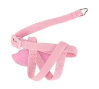 Cryfokt Bird Harness Leash Cute Angel Wings for Outdoor Training 2m Traction Rope Comfortable Lightweight Polyester for Small Birds (Pink)