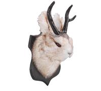 Cryfokt Cute Jackalope Wall Decor Elegant Animal Head Wall Mount for Home