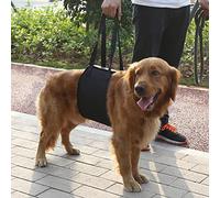 Cryfokt Dog Lift And Assist Support Harness With Handle For Canines Aid, Safe And Durable, For Dogs Suffering From Injuries, Made Of Polyester, Black, 4 Sizes (L)