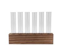 Cryfokt Mini Glass Propagation Station with Wooden Stand (6 Tubes) | Clear glass tubes, Simple design, Suitable for and flowers