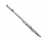 Cryfokt Professional Silver Plated Flute with 16 Keys, Closed Hole & Easy Adjustment, Perfect for New Learners, Leather Case Included