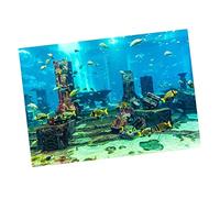 Cryfokt Underwater Aquarium Background Poster PVC Fish Tank Wall Stickers for Beautiful Display 2 Units (61 * 30cm)