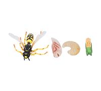 Cryfokt Wasp Bee Growth Cycle Model Lifelike Simulation Action Figures for Early Education Perfect Kids Bedroom Study Plastic