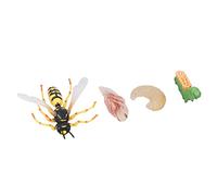 Cryfokt Wasp Bee Growth Cycle Model Lifelike Simulation Action Figures for Early Education Perfect Kids Bedroom Study Plastic