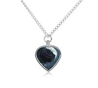 Crying Black Rose Moon Pet Ashes Necklace Heart Silver Classic Pet Pendant Memorials Funerary for Dog Cat Lover