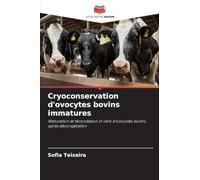 Cryoconservation d'ovocytes bovins immatures: Maturation et fécondation in vitro d'ovocytes bovins après décongélation