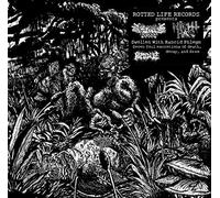 Cryptic Brood & Nigh Hag - Swollen With Rancid Phlegm [VINYL]