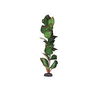 Cryptocorne Green & Red Silk Like Plant 50cm by KenKoi