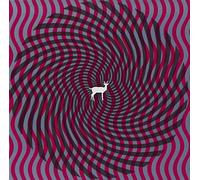 Cryptograms by Deerhunter