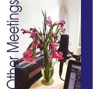 crys cole - Other Meetings [VINYL]