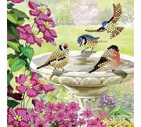 Crystal Art Birds, 18x18cm Card