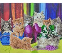 CRYSTAL ART CAK-A153L: Kitten Footware 40x50cm Kit