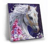 CRYSTAL ART Mystic Beauty 30x30m Canvas Kit