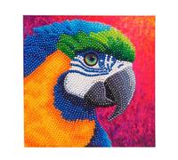 CRYSTAL ART Paradise Card Kit by Rachel Froud 18x18cm