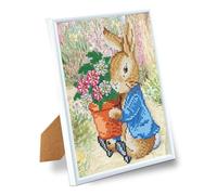 CRYSTAL ART Peter Rabbit Framed Kit 21x25cm