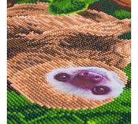 CRYSTAL ART Two Toed Sloth Canvas Kit 30x30cm