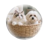 Crystal Ball Video Player Digital 2.7in Speaker