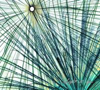 Crystal Brandt and the River - Light It Up