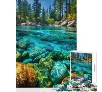 Crystal Clear River with Rocks And Trees Jigsaw Puzzle 1000 Piece for Teenagers Serene Peaceful Play Activity Peaceful Calm Stress Relief (38X26cm)