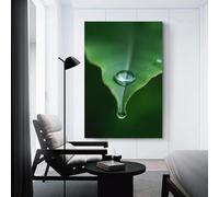 Crystal Clear Water Drops Falling from The Leaf Tip Artistic Wall Art Painting The Picture of Animal Print On Canvas Artwork Pictures For Home Living Room Modern Decor Decoration 16x24inch(40x60cm)
