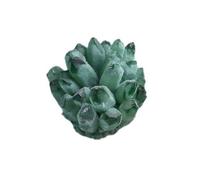 Crystal Cluster, Crystal Rock, Large Crystal Clusters Stone, Raw Stone, Geode Cave Crystal Stones,Green,200~300g