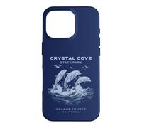 Crystal Cove State Park Case for iPhone 16 Pro
