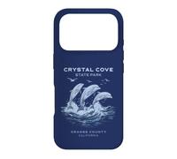 Crystal Cove State Park Case for iPhone 17 Pro