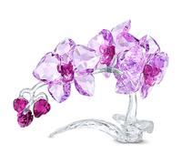 Crystal Flowers Orchid