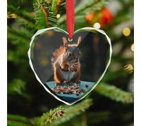 Crystal Glass Christmas Ornaments - Nuts and Squirrels 3.5 Inch Rustic Heart Xmas Tree Decor with Hanging String, Personalized Vintage Holiday Party Decorations for Xmas Gifts