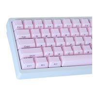 Crystal Jelly PBT Keycaps, 113 Keys OEM Profile Translucent Side Printed Keycap, Pink Double Shot Custom Keycaps Set for for 61/68/84/87/98/100 Cherry Gateron MX Switches Mechanical Keyboards