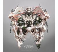 Crystal Lake The Weight of Sound (CD) Album