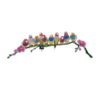 Crystal Myriad Gouldian Finches