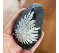 Crystal Ornaments Natural Chrysanthemum Stone Crystal Quartz Energy Gift Room Decoration About Beautiful Crystal(5pcs)