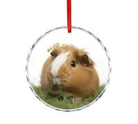 Crystal Round Pendants Christmas, Customized Christmas Decorations for Party Holiday, Guinea Pig Xmas Hanging Pendants Ornament for Fireplaces, Wedding, Gift-Giving