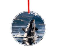 Crystal Round Pendants Christmas, Customized Christmas Decorations for Party Holiday, Orca Killer Whale Xmas Hanging Pendants Ornament for Fireplaces, Wedding, Gift-Giving