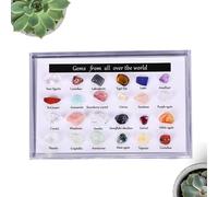 Crystal Storage Box, Divided Holder with 24 Crystal Stones, Transparent Storage Display Case for Mineral Collection, for Collectors, , Minerals, Storage, Meditation and Homes