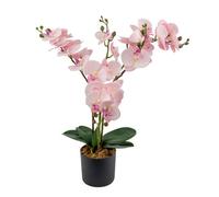 Crystals 60Cm Artificial Orchid Plant In Pot Realistic House Plant For Elegant Home Decor