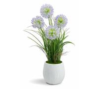 Crystals Artificial Lavender Plant in Pot 50cm - Realistic Faux Silk Flowers Indoor Outdoor Decoration for Home Office Garden Table Décor (Purple, Dandelion)