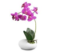 Crystals Artificial Orchid Flower in Pot - Realistic Faux Orchid Plant Decoration for Home, Office, or Event - Elegant White Floral Display - No Maintenance Required (Design 2)