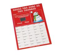 Crystals Club Supplies A4 What's the Snowman's Name? Scratch Card (20)