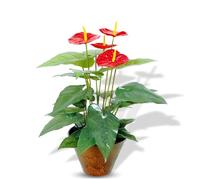 Crystals Decorative Flora - Small Artificial Plants in Pots for Indoor Decor - Faux Plants for Bathroom (20 Leaves Flamingo Lily)