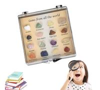 CRYSTALS FOR KIDS: Unpolished Earth Elements + Multicolor Assortment, Geological Science Specimen, Earth Science Educational Tool, Natural Mineral Treasure | Discovery Kit