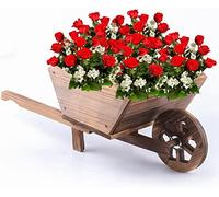 Crystals Wooden Wheelbarrow Planter for Outdoor and Indoor | Flower Cart | Heavy Duty Rustic Pot for Garden, Balcony and Patio